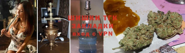 сатива Аркадак