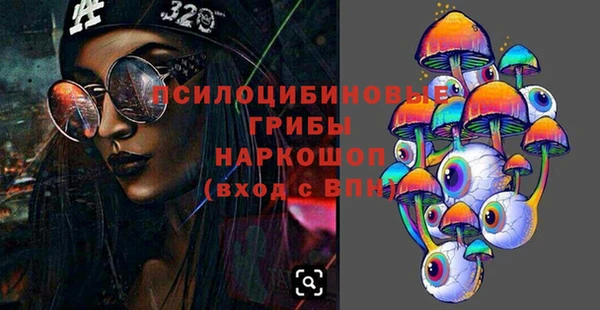 сатива Аркадак