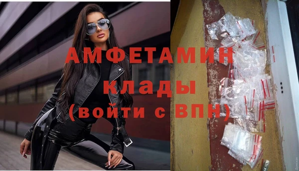 сатива Аркадак