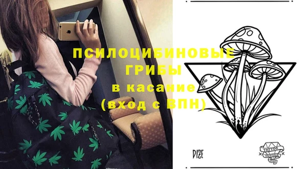 бошки Лабытнанги
