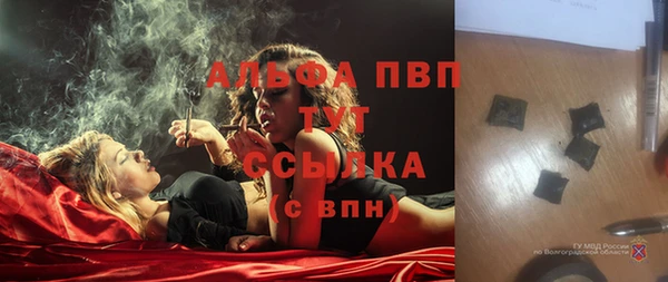 сатива Аркадак