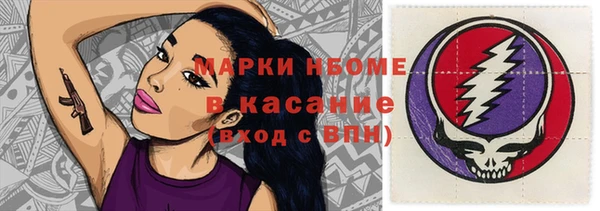 сатива Аркадак