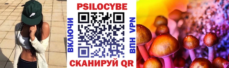 Купить где  Белокуриха  Галлюциногенные грибы MAGIC MUSHROOMS 